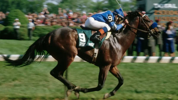 Image showing jockey atop a horse in motion against a blurred crowd background.