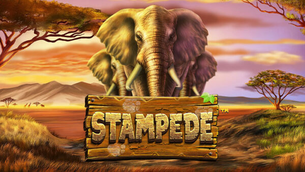 Stampede Online Slot Review