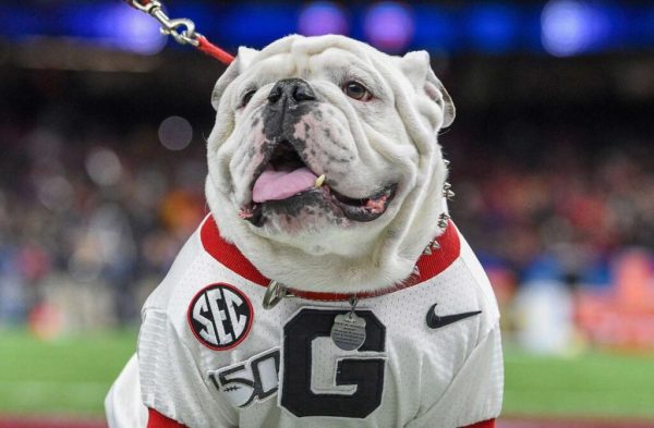 NCAAF Best December Games For Betting